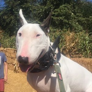 Meet your Posher, Liv